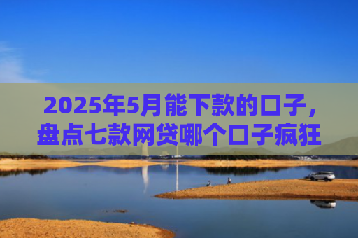 2025年5月能下款的口子，盘点七款网贷哪个口子疯狂下款