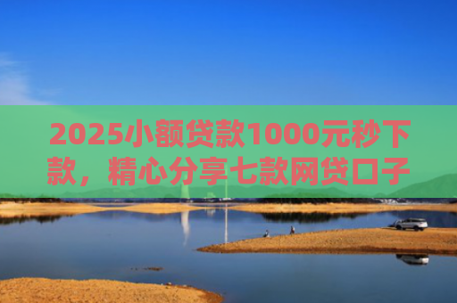 2025小额贷款1000元秒下款，精心分享七款网贷口子怎么填下款高