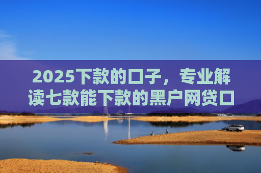 2025下款的口子，专业解读七款能下款的黑户网贷口子
