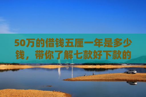 50万的借钱五厘一年是多少钱，带你了解七款好下款的网贷正规口子