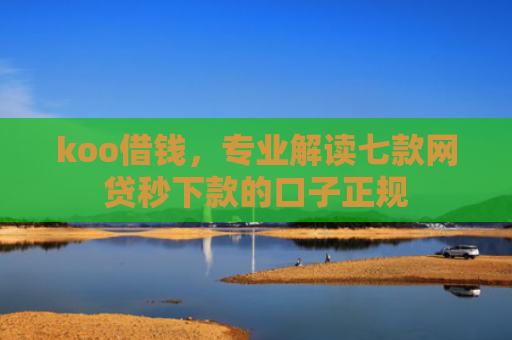 koo借钱，专业解读七款网贷秒下款的口子正规