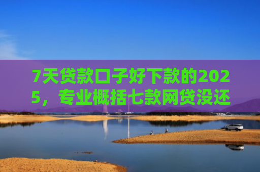 7天贷款口子好下款的2025，专业概括七款网贷没还能下款的口子