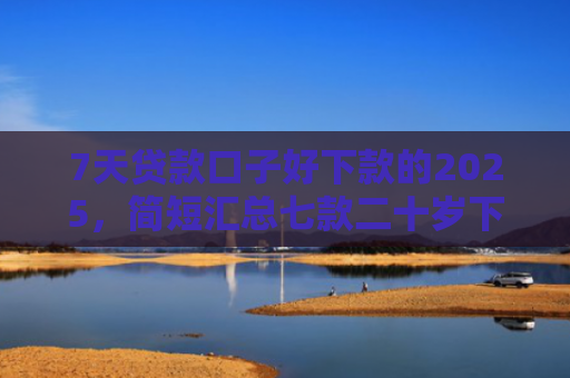 7天贷款口子好下款的2025，简短汇总七款二十岁下款的网贷口子