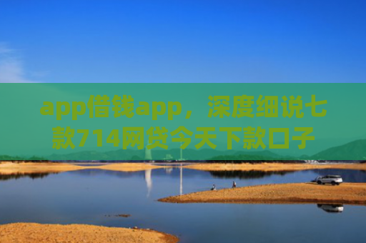 app借钱app，深度细说七款714网贷今天下款口子