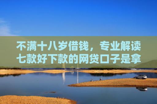 不满十八岁借钱，专业解读七款好下款的网贷口子是拿家