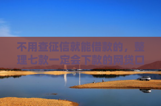 不用查征信就能借款的，整理七款一定会下款的网贷口子