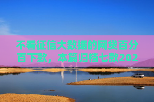 不看征信大数据的网贷百分百下款，本篇归档七款2025年下款网贷口子