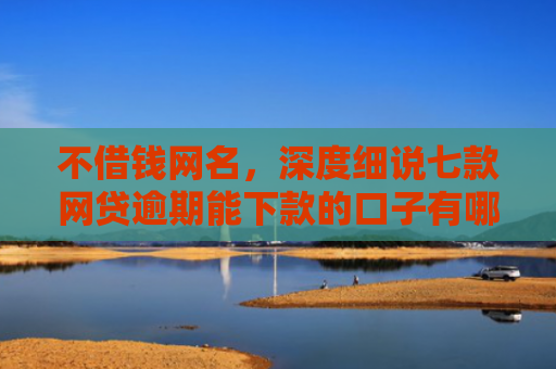 不借钱网名，深度细说七款网贷逾期能下款的口子有哪些