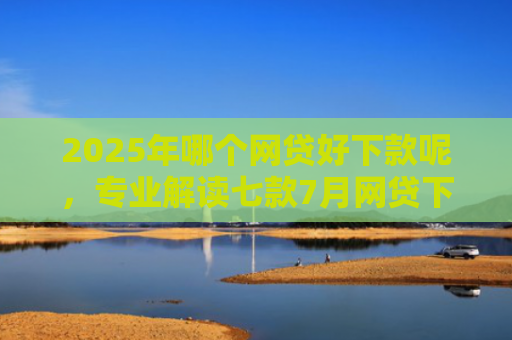 2025年哪个网贷好下款呢，专业解读七款7月网贷下款口子