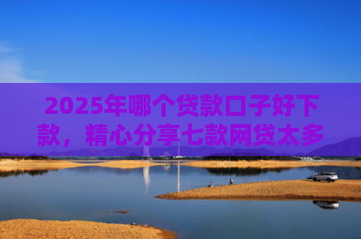 2025年哪个贷款口子好下款，精心分享七款网贷太多易下款口子