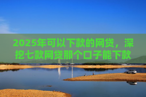 2025年可以下款的网贷，深挖七款网贷那个口子能下款