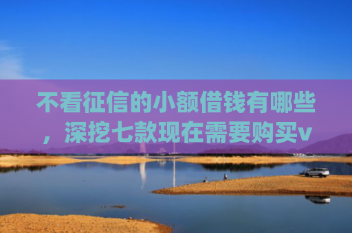 不看征信的小额借钱有哪些，深挖七款现在需要购买vip下款的网贷口子