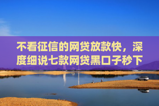 不看征信的网贷放款快，深度细说七款网贷黑口子秒下款app2025