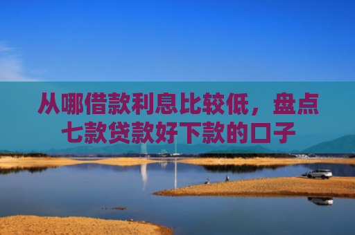 从哪借款利息比较低，盘点七款贷款好下款的口子