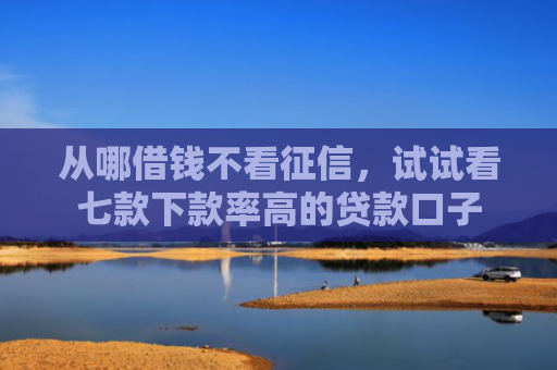 从哪借钱不看征信，试试看七款下款率高的贷款口子