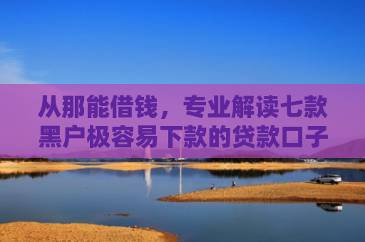 从那能借钱，专业解读七款黑户极容易下款的贷款口子