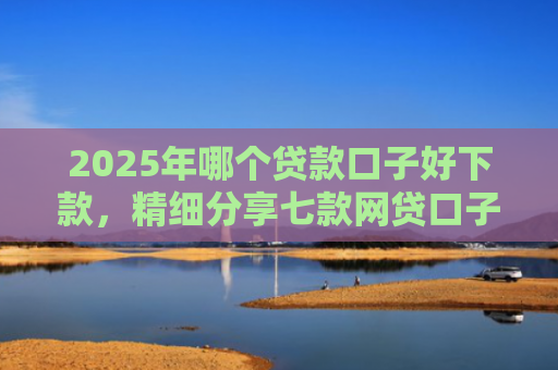2025年哪个贷款口子好下款，精细分享七款网贷口子直接下款