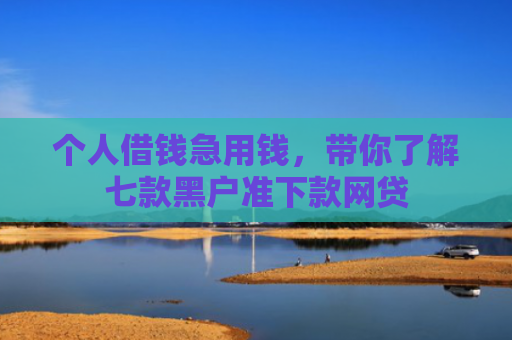 个人借钱急用钱，带你了解七款黑户准下款网贷