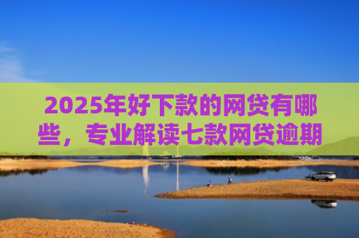 2025年好下款的网贷有哪些，专业解读七款网贷逾期能下款口子