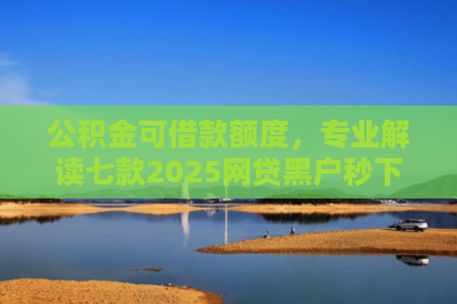 公积金可借款额度，专业解读七款2025网贷黑户秒下款