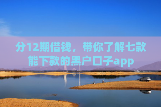 分12期借钱，带你了解七款能下款的黑户口子app