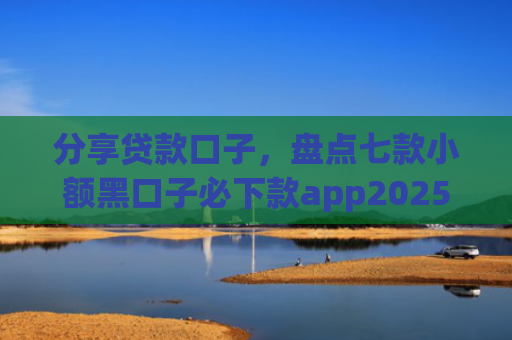 分享贷款口子，盘点七款小额黑口子必下款app2025