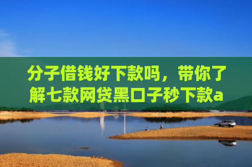 分子借钱好下款吗，带你了解七款网贷黑口子秒下款app入口