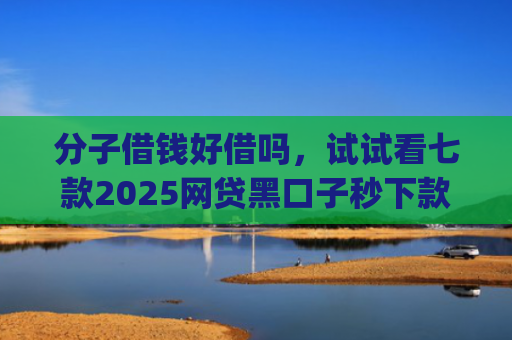 分子借钱好借吗，试试看七款2025网贷黑口子秒下款app