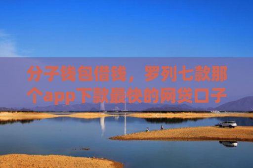 分子钱包借钱，罗列七款那个app下款最快的网贷口子