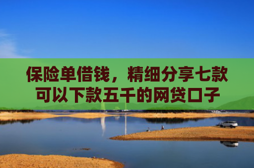 保险单借钱，精细分享七款可以下款五千的网贷口子