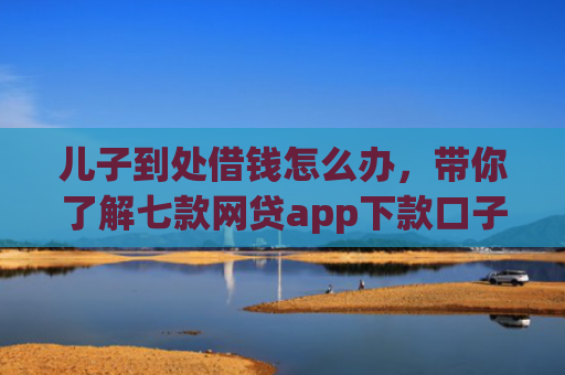 儿子到处借钱怎么办，带你了解七款网贷app下款口子
