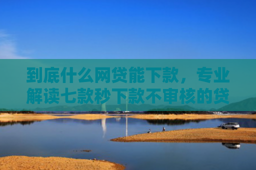 到底什么网贷能下款，专业解读七款秒下款不审核的贷款口子