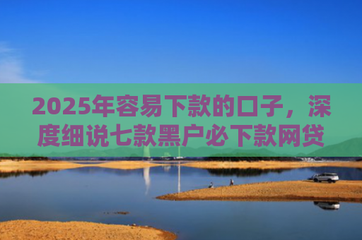 2025年容易下款的口子，深度细说七款黑户必下款网贷口子