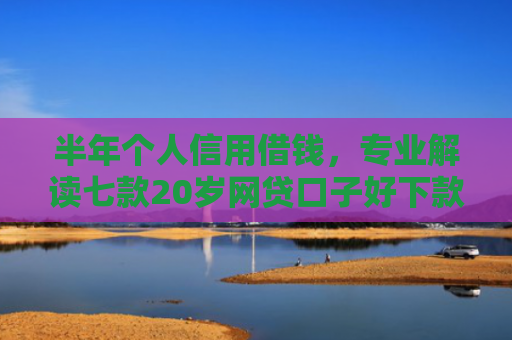 半年个人信用借钱，专业解读七款20岁网贷口子好下款的