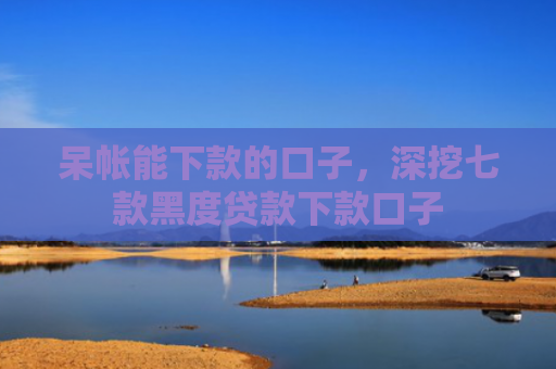 呆帐能下款的口子，深挖七款黑度贷款下款口子