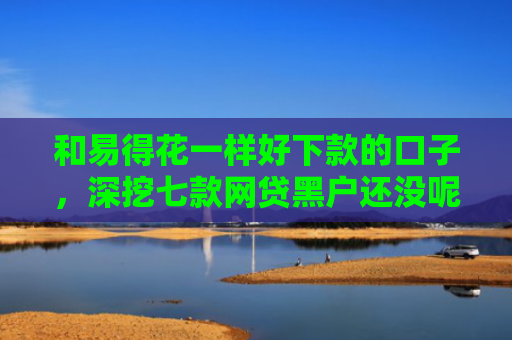 和易得花一样好下款的口子，深挖七款网贷黑户还没呢下款吗
