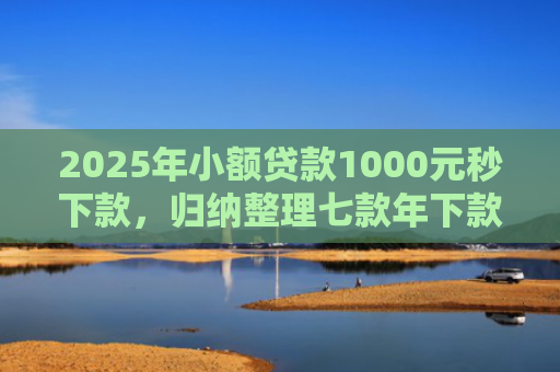 2025年小额贷款1000元秒下款，归纳整理七款年下款的网贷口子