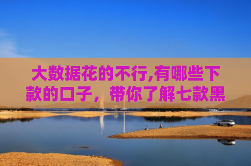 大数据花的不行,有哪些下款的口子，带你了解七款黑户贷款下款口子