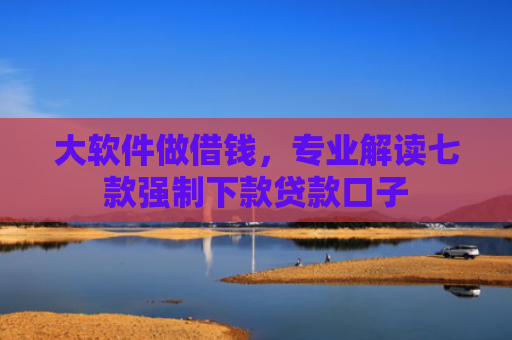 大软件做借钱，专业解读七款强制下款贷款口子