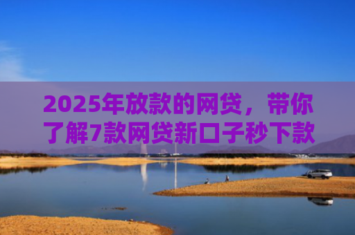 2025年放款的网贷，带你了解7款网贷新口子秒下款