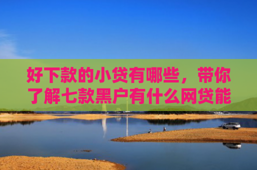 好下款的小贷有哪些，带你了解七款黑户有什么网贷能下款
