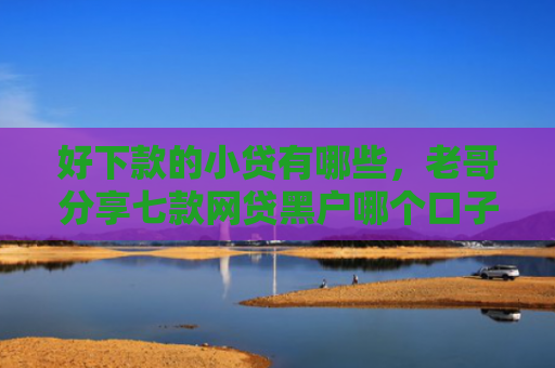 好下款的小贷有哪些，老哥分享七款网贷黑户哪个口子能下款