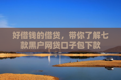 好借钱的借贷，带你了解七款黑户网贷口子包下款