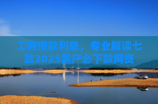 工商借款利息，专业解读七款2025黑户必下款网贷
