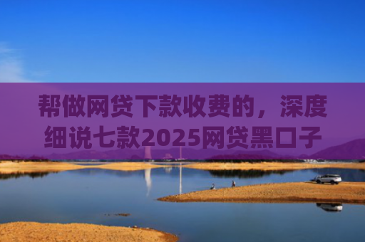 帮做网贷下款收费的，深度细说七款2025网贷黑口子秒下款app