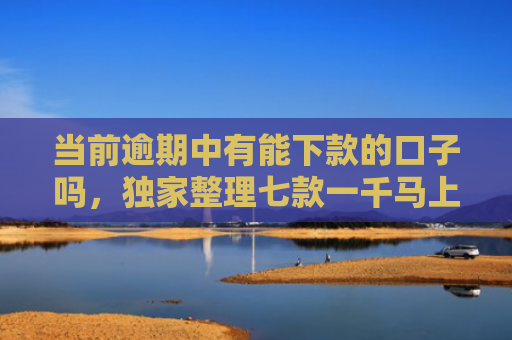 当前逾期中有能下款的口子吗，独家整理七款一千马上下款的贷款口子