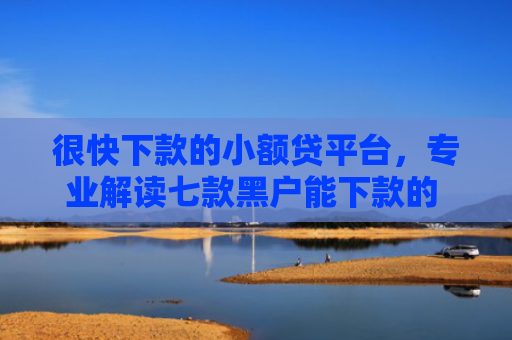 很快下款的小额贷平台，专业解读七款黑户能下款的 网贷口子