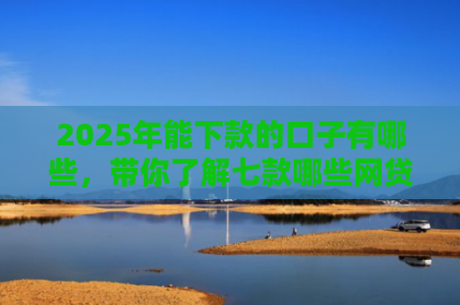 2025年能下款的口子有哪些，带你了解七款哪些网贷口子必下款