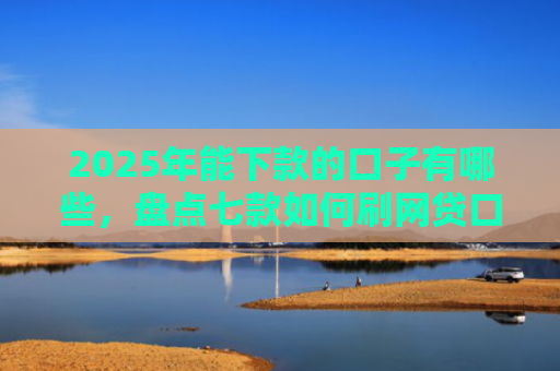 2025年能下款的口子有哪些，盘点七款如何刷网贷口子下款