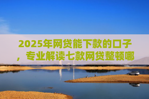 2025年网贷能下款的口子，专业解读七款网贷整顿哪些口子下款